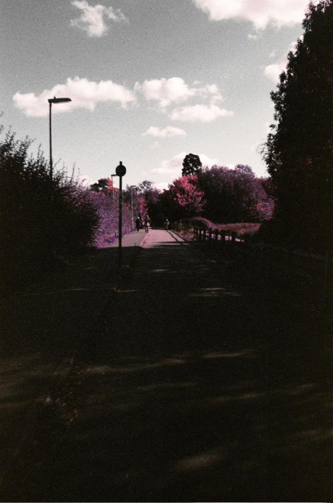 Copyright Emily Boarer 2022
