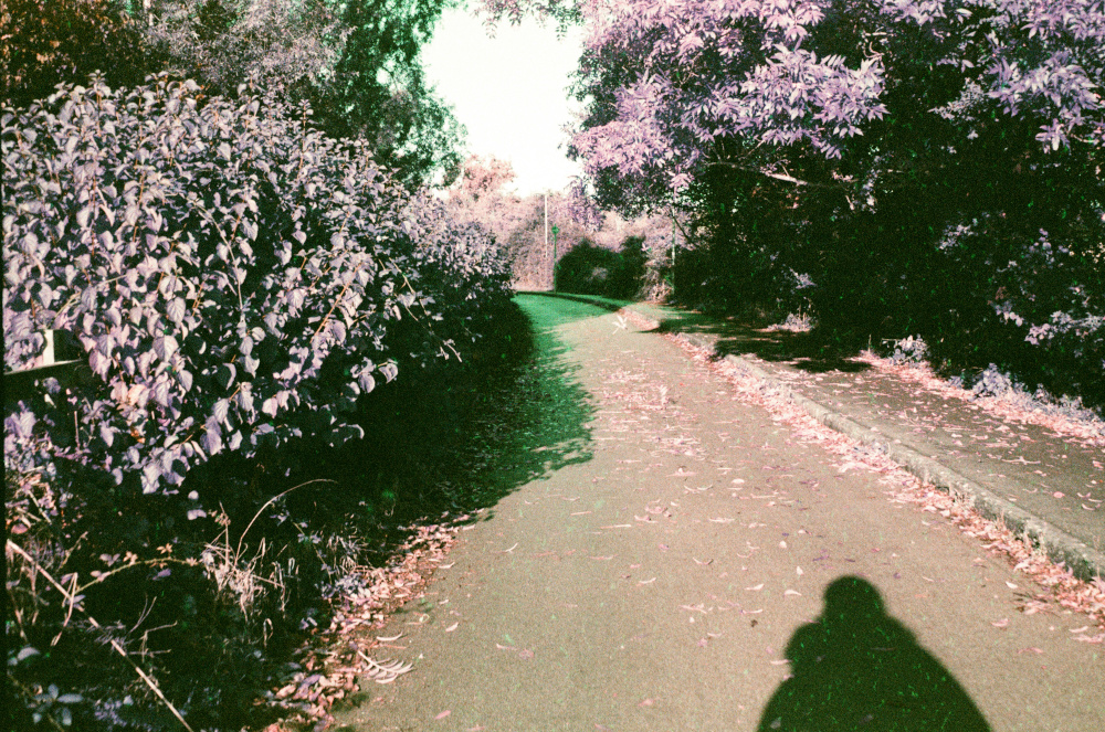 Copyright Emily Boarer 2022