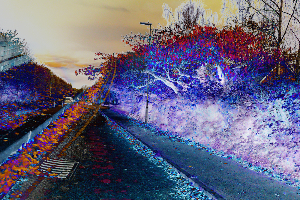 Copyright Emily Boarer 2022